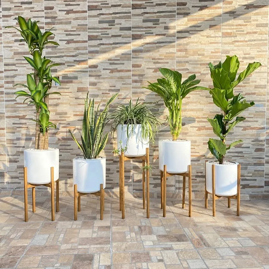 Macetas decorativas con plantas